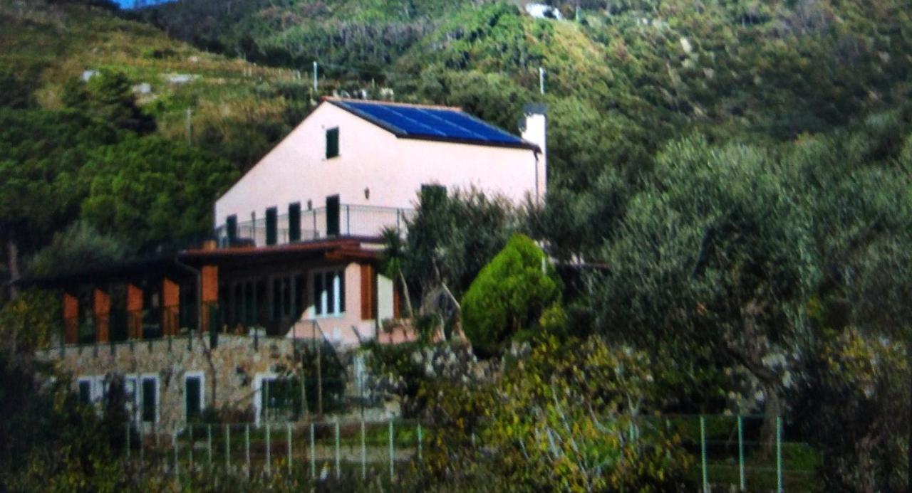La Cabana Cinque Terre Monterosso Monterosso al Mare Bagian luar foto
