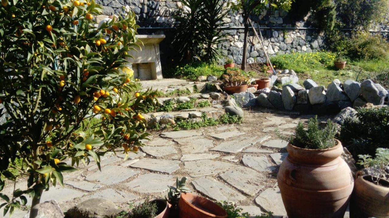La Cabana Cinque Terre Monterosso Monterosso al Mare Bagian luar foto